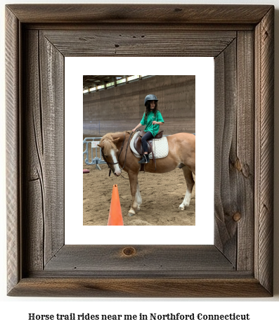 horse trail rides near me in Northford, Connecticut